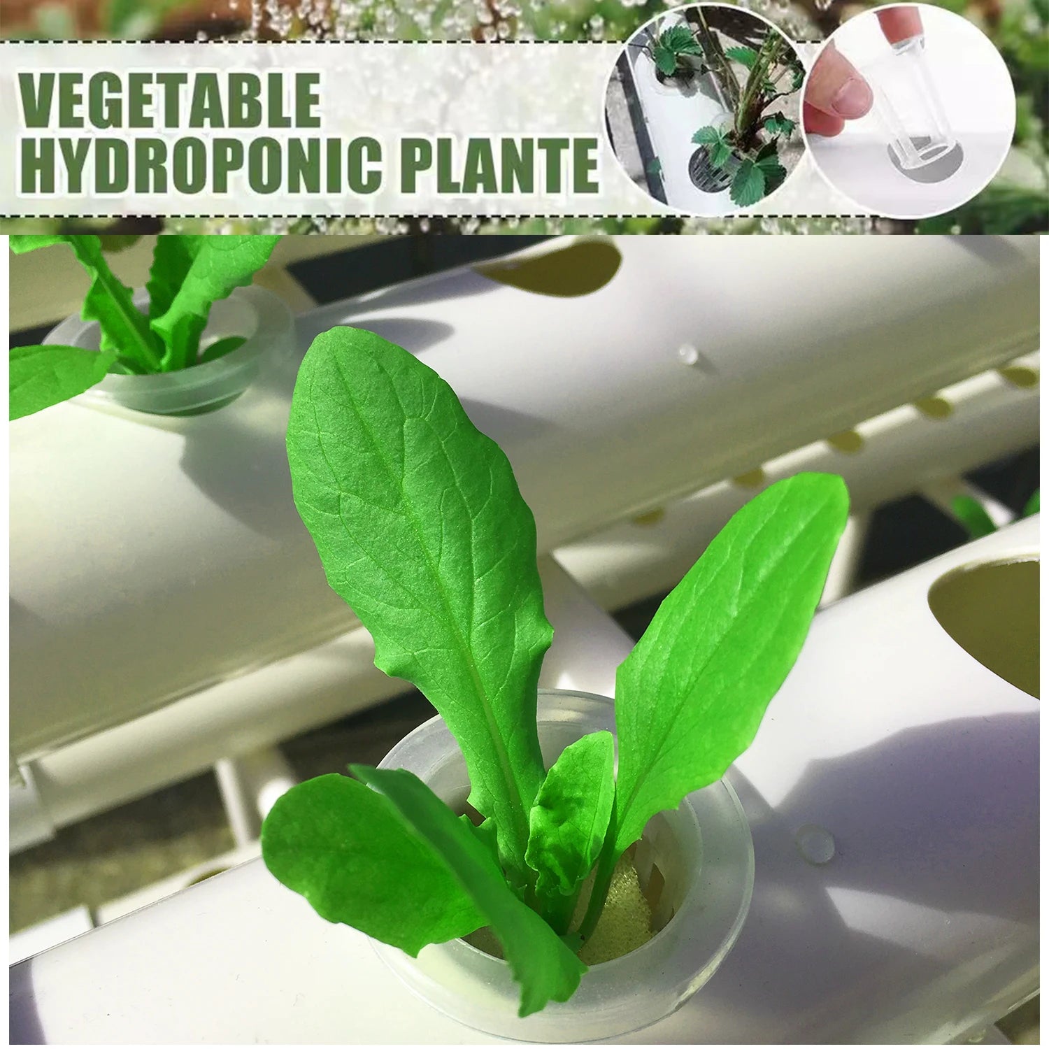 BHTNYOO 3-Layer Hydroponic Growing System Kit (108 Sites)
